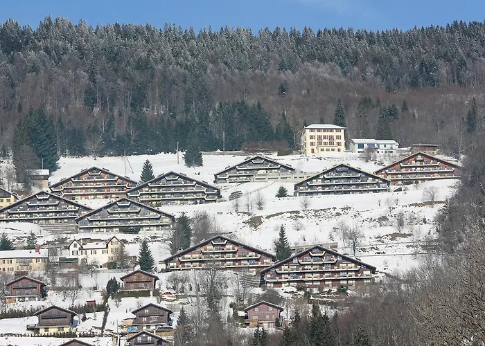 Cassiopee 26 By Interhome * Les Rasses